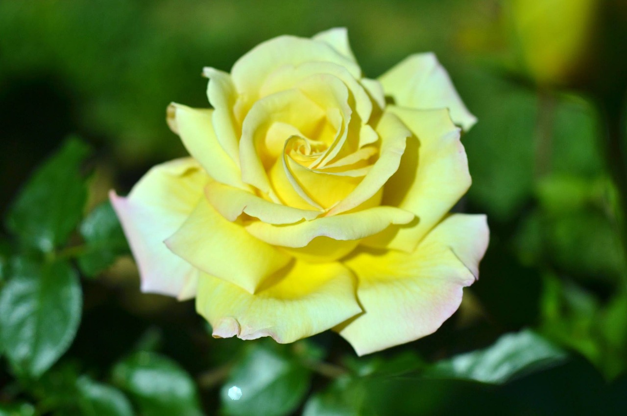 desire, ramadan, photograph, iftar, my photos, ramadan, ramadan, ramadan, ramadan, ramadan, iftar, iftar, iftar, iftar, iftar